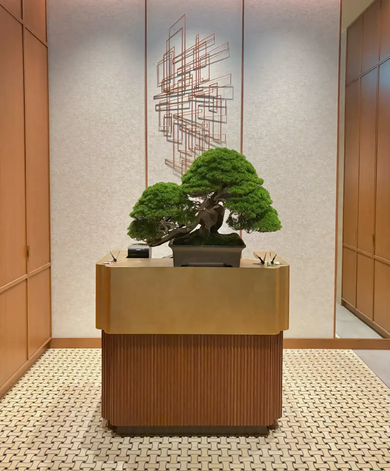 <p>【Scotty Cameron Seaside Golf Gallery Festival 2025】にて盆栽の展示を行いました。</p>